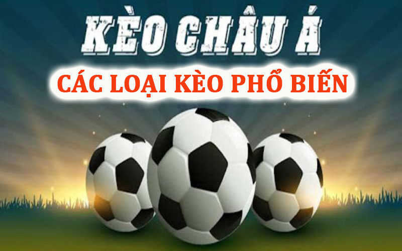 Các loại kèo châu á phổ biến tại nohu.li